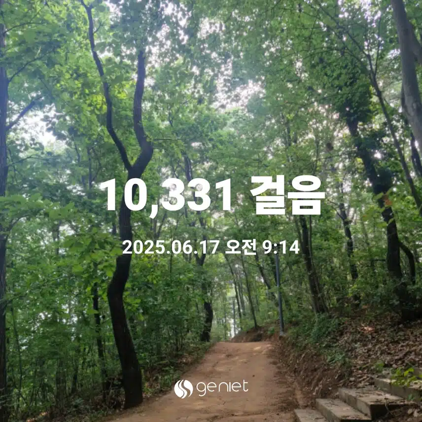 향이 진한 숲길