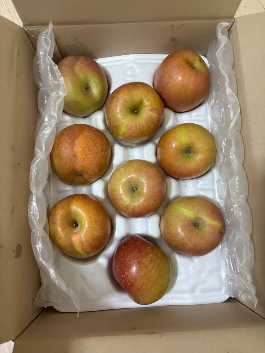 캐시로 구매한 사과🍎😁