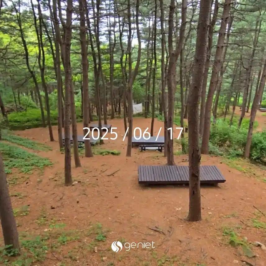 오늘의 산책
