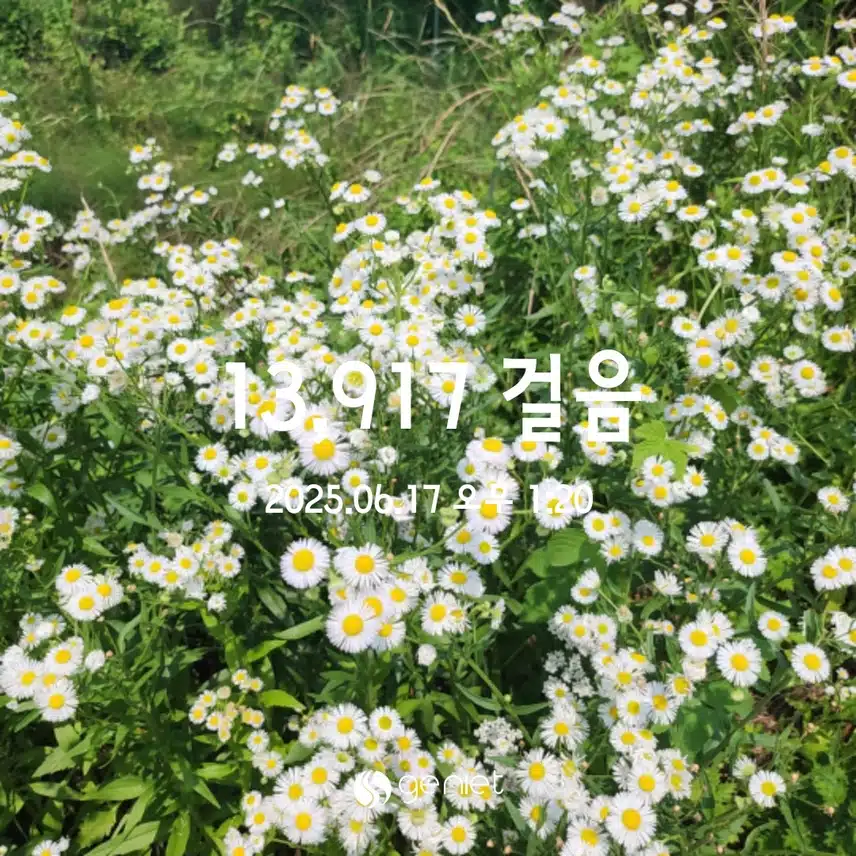 💪6.17  만보걷기 💕