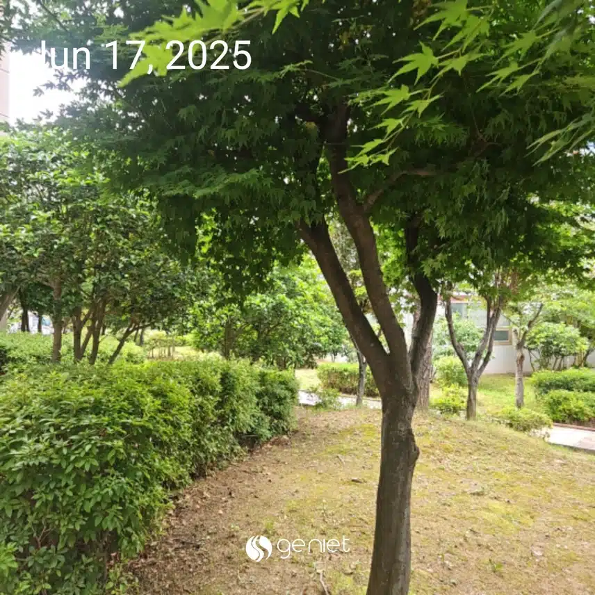 오전 산책으로..🏃