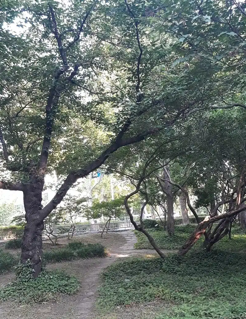 오전 산책