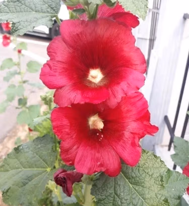 오전 산책