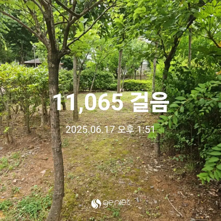 걷기와 계단오르기 🏃