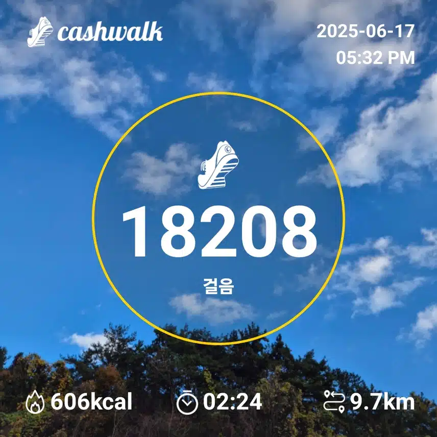 만보인증