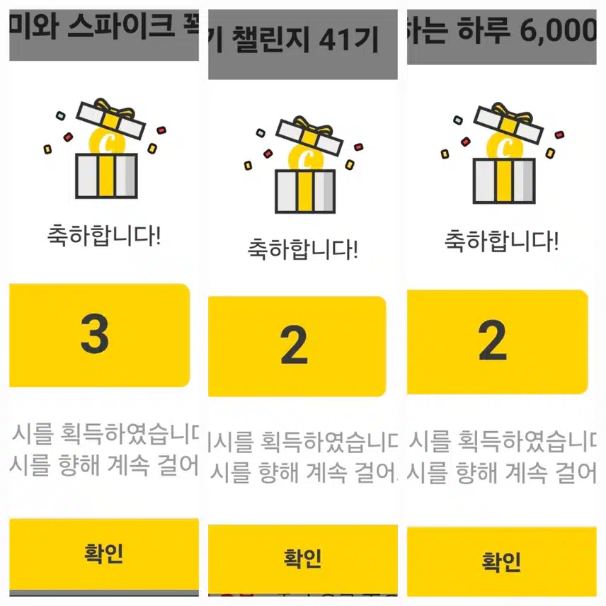 팀워크 하루 걷기 챌린지 인증 캐시