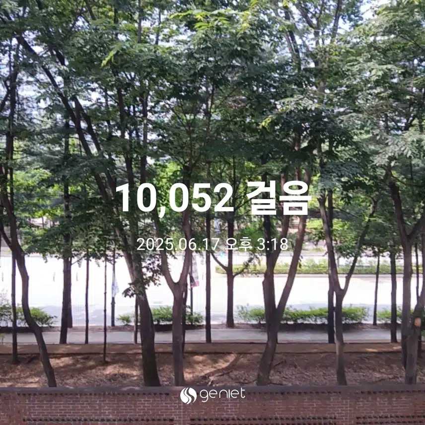 화요일 걷기운동^^