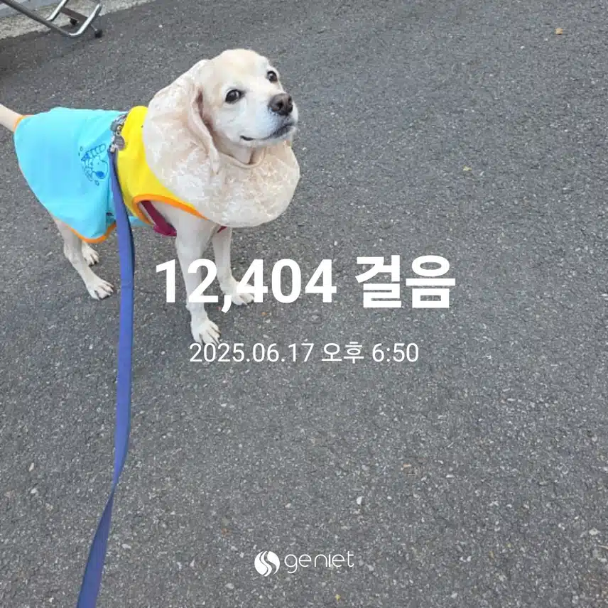 화요일 마무리 