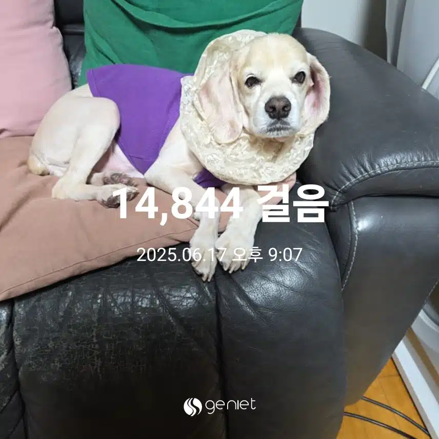 화요일 마무리 