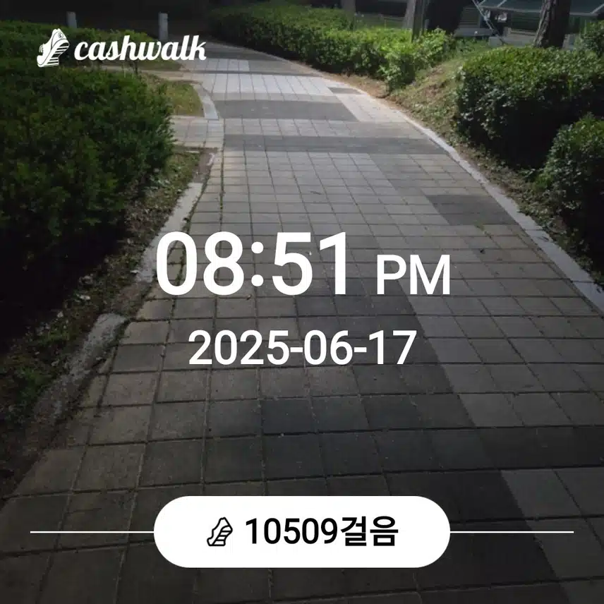 오늘도 만보걷기....