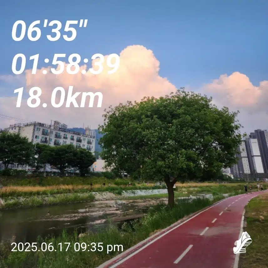 사랑으로 18km 달려 봅니다💗