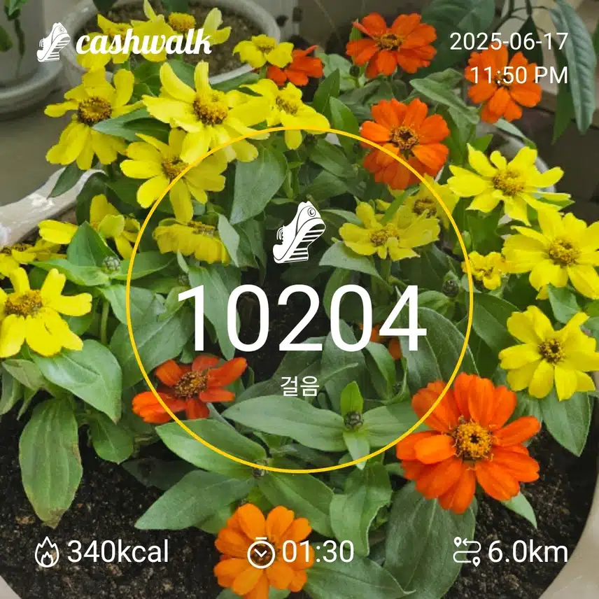 12.6월17일 화요일(밤운동)