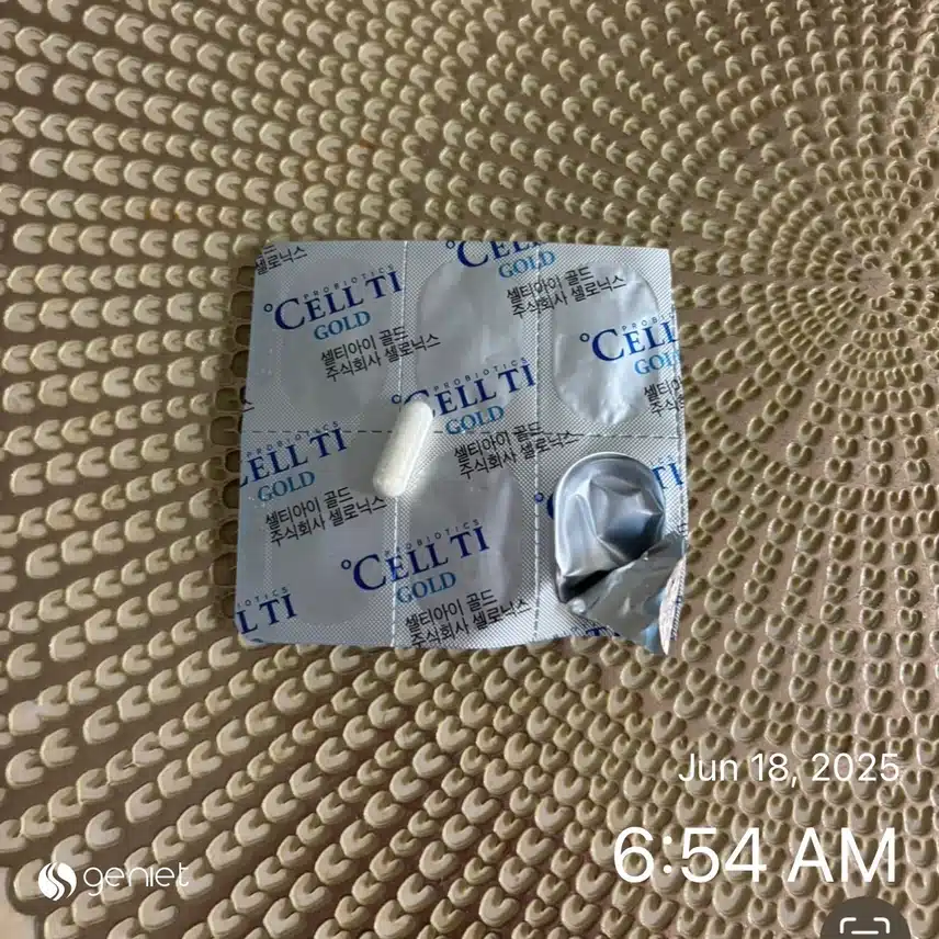 유산균💊