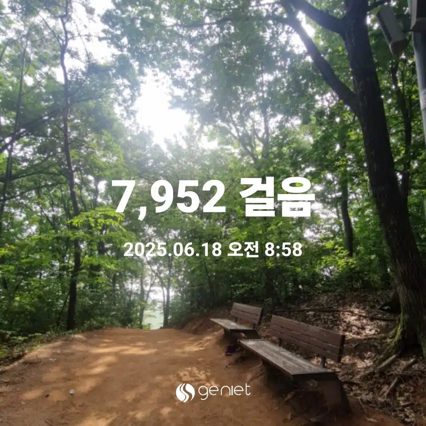 아침 산책