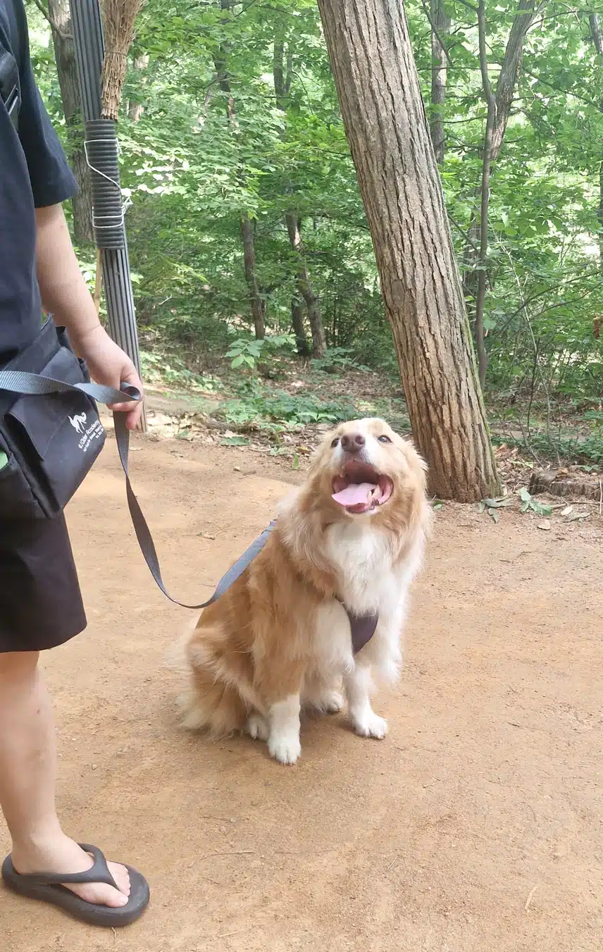 아침 산책