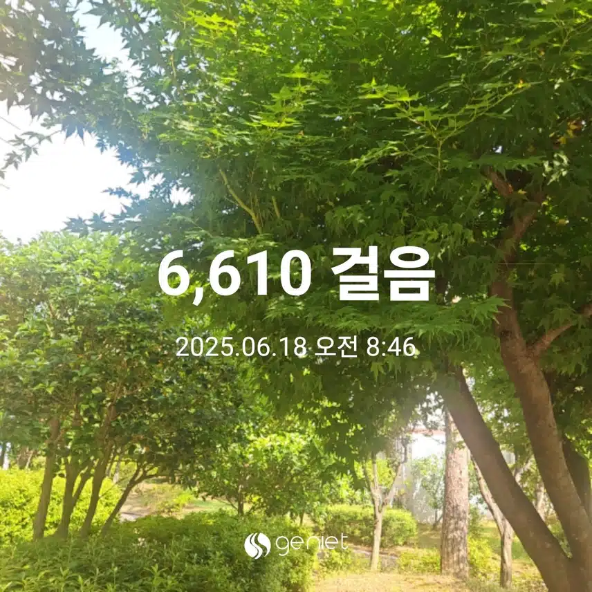 오전 상쾌한 산책으로 🏃