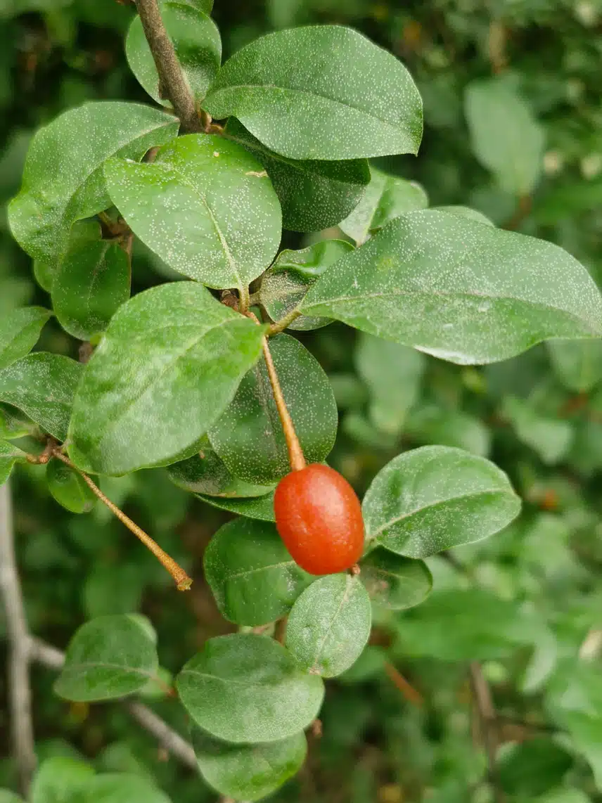 아침 산책