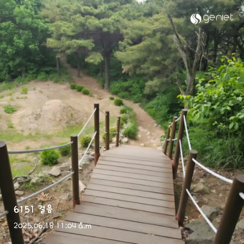 오전 산책🏃‍♀️