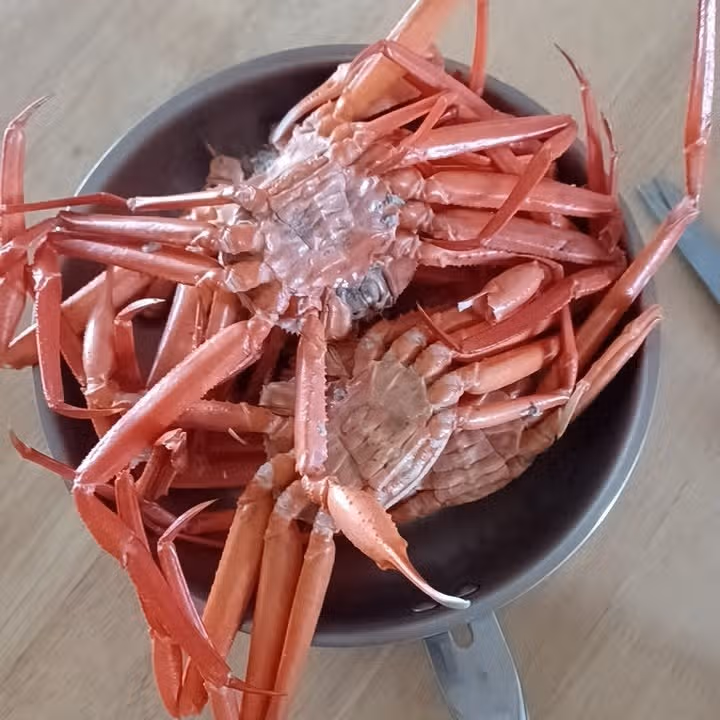 홍게 먹었어요~