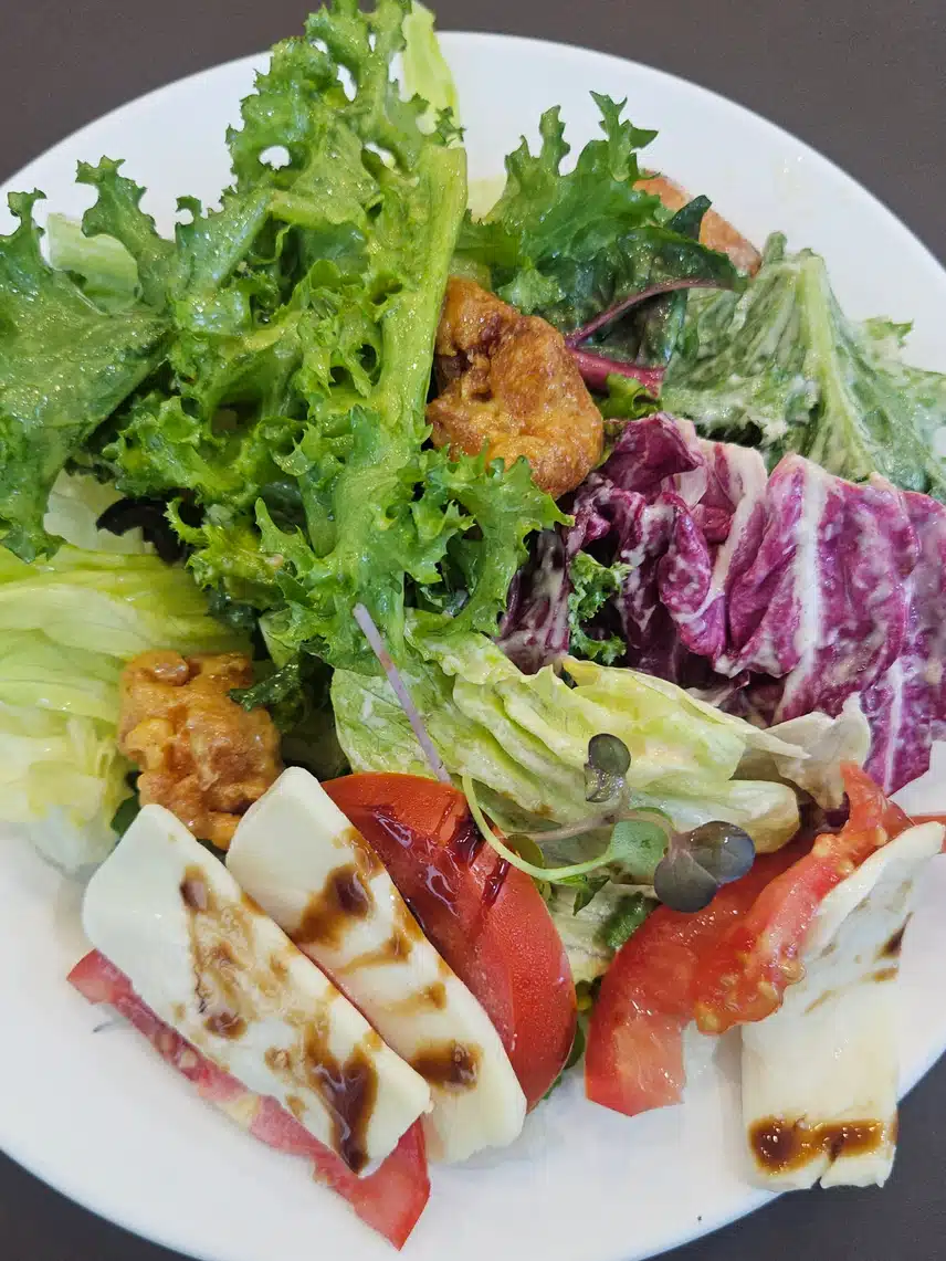 카프레제 치킨 샐러드 한접시로 🥗🍅🧀