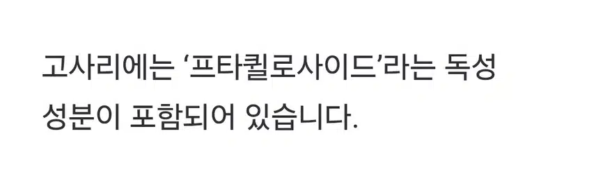 이 나물 간암 수직 상승 시키는 위험한 음식..