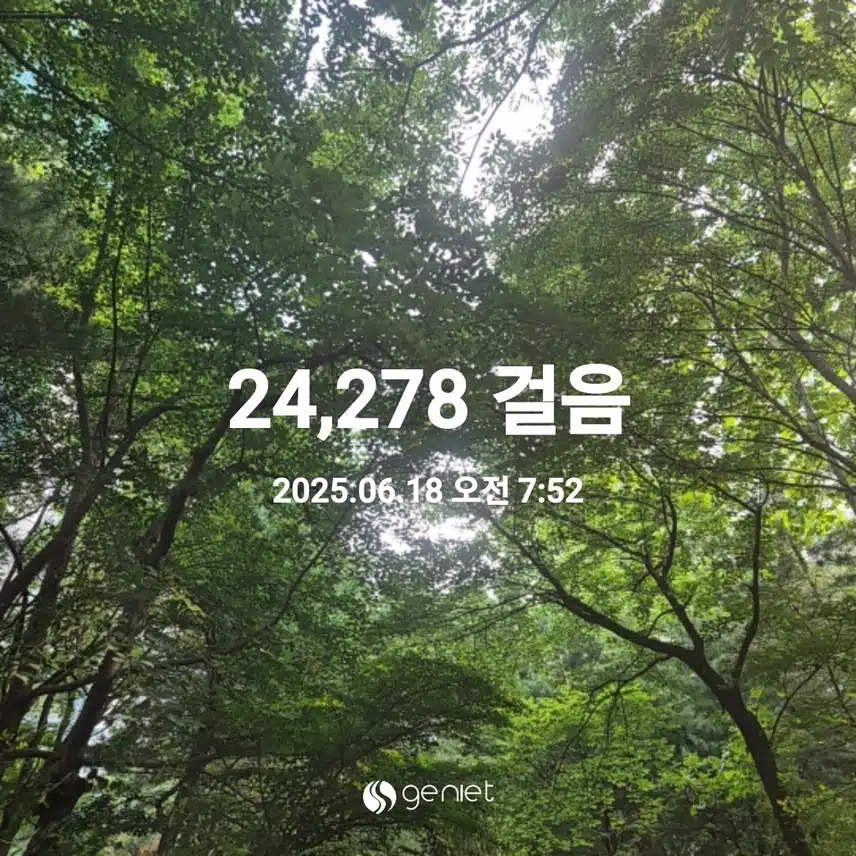 만보 걷기 (6월 18일 수요일)