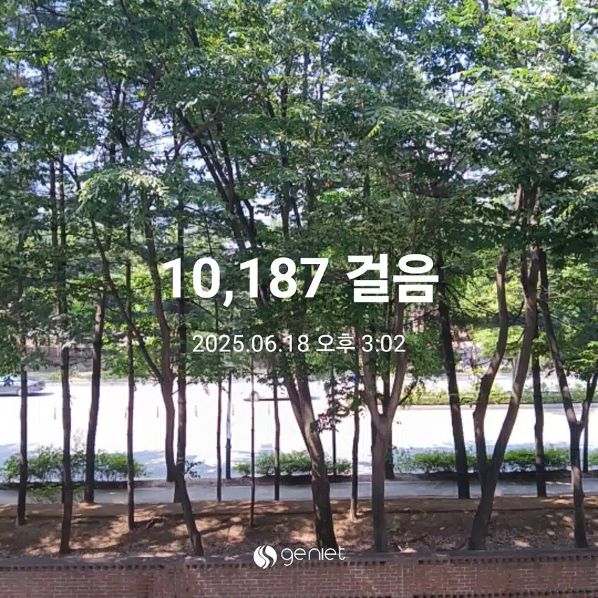 수요일 걷기운동^^