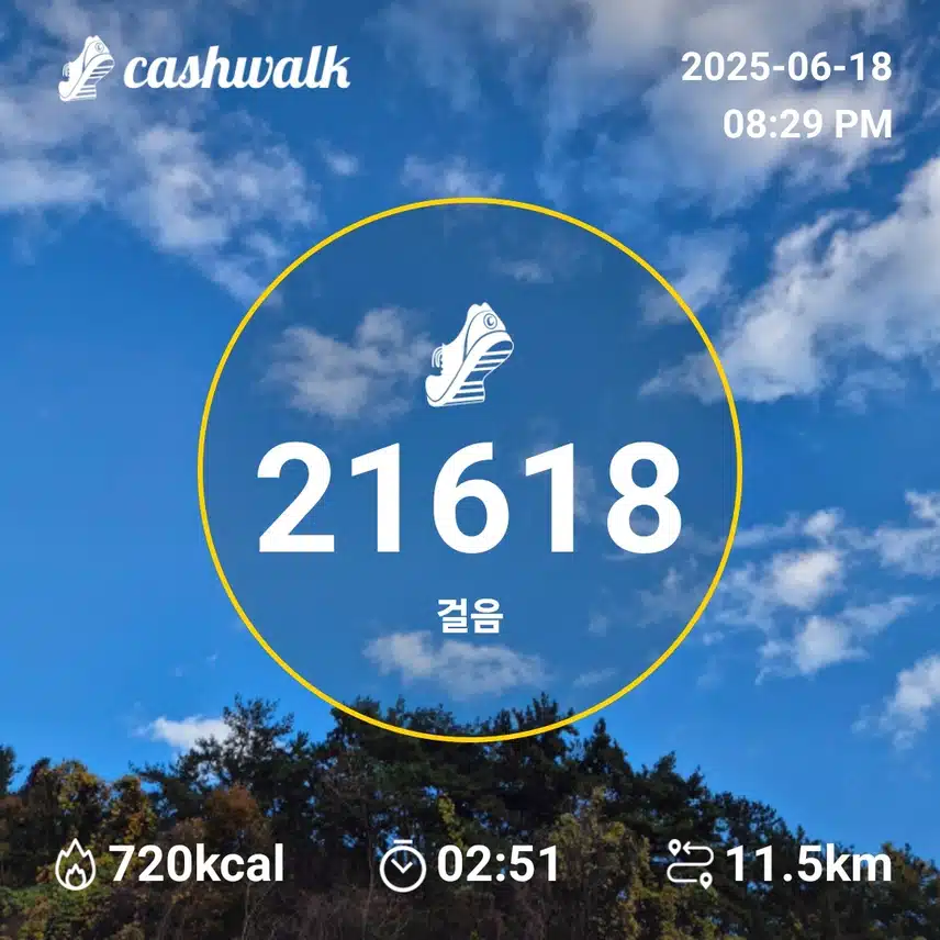 만보인증