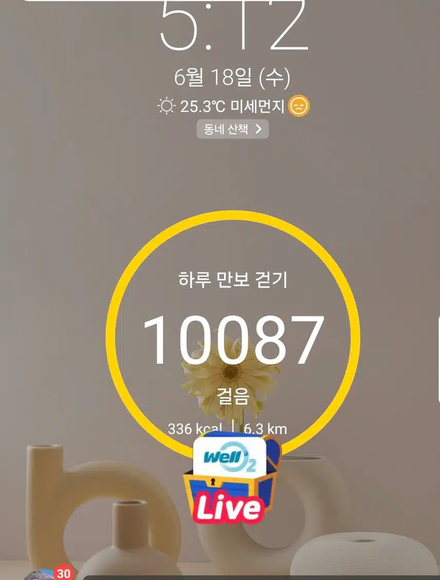 1만보 걷기 운동
