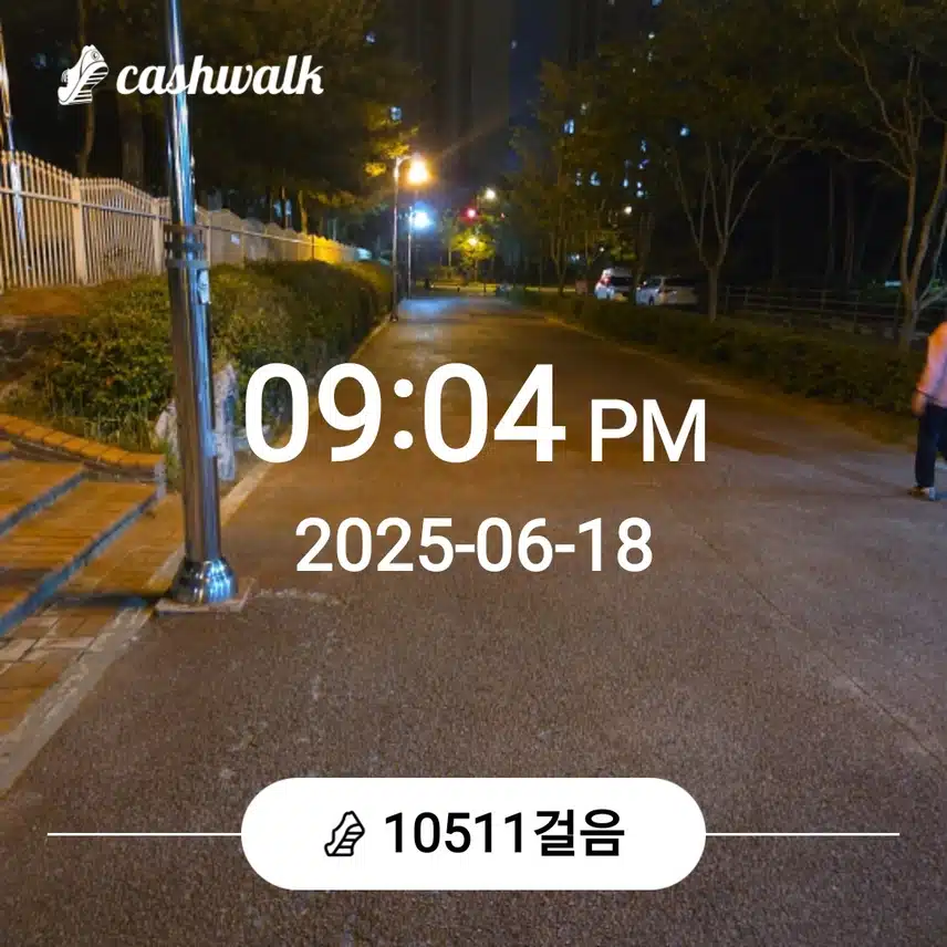 오늘도 만보걷기를....
