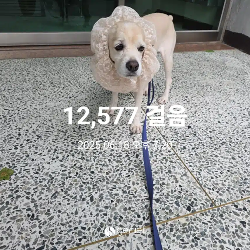 수요일 마무리 
