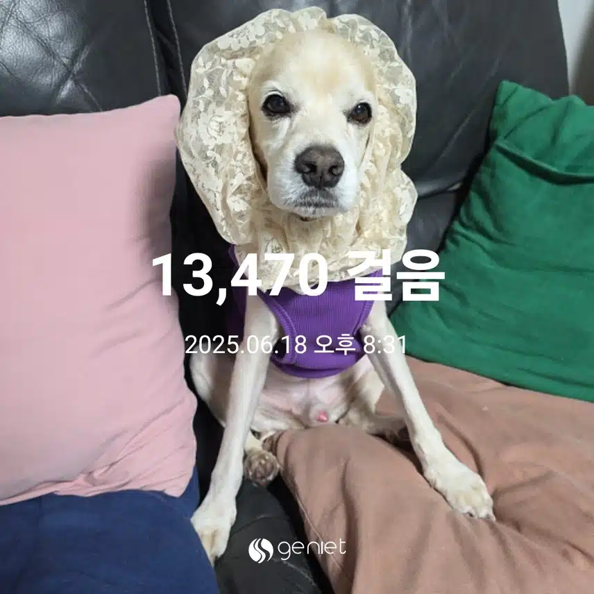 수요일 마무리 