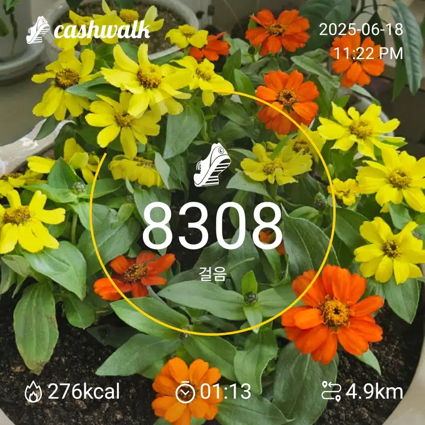 13.6월18일 수요일(밤운동)
