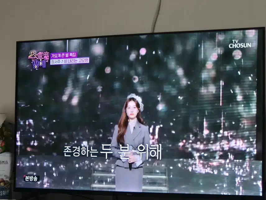 목소리 만으로도 감동을 주는 정서주양의 무대