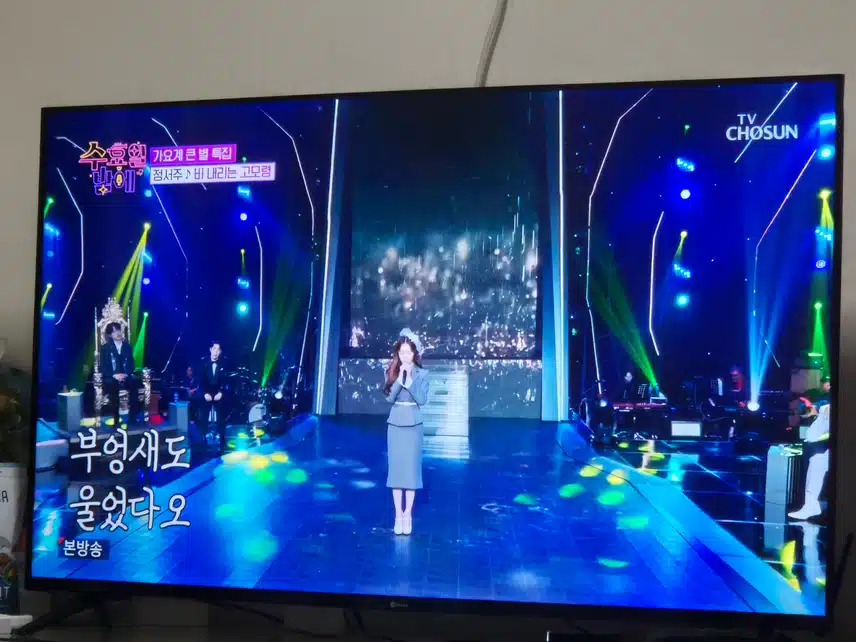 목소리 만으로도 감동을 주는 정서주양의 무대