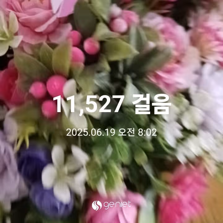 오전 운동 