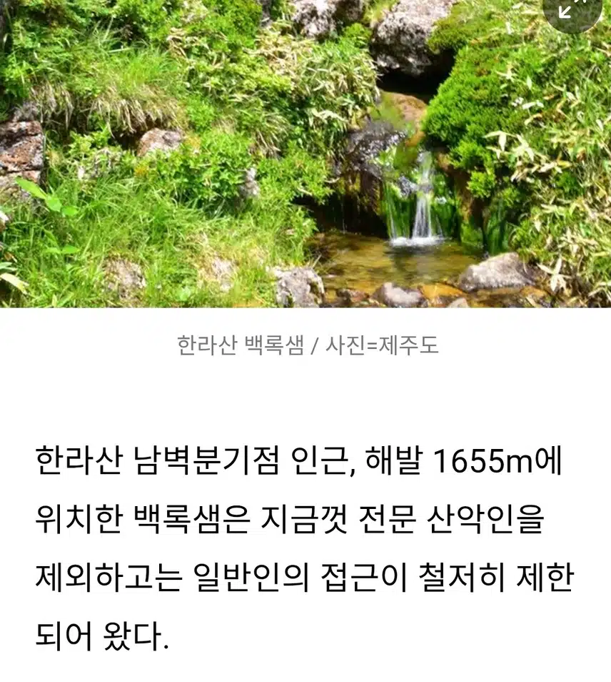 제주도 한라산 백록샘 7월한시 개방합니다