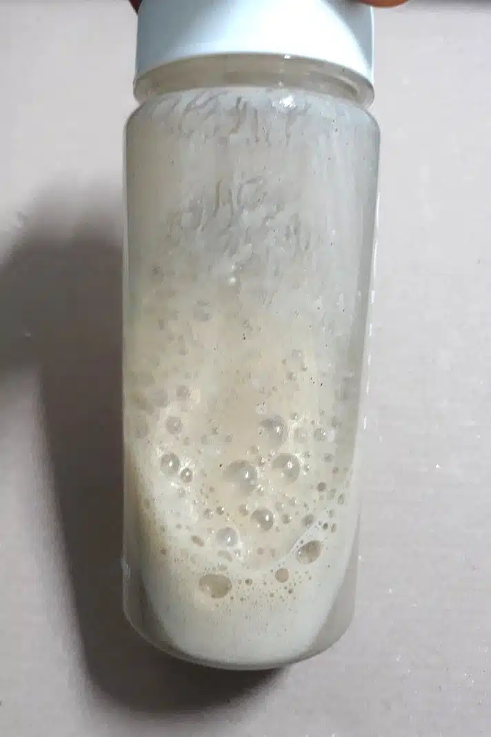 단백질파우더