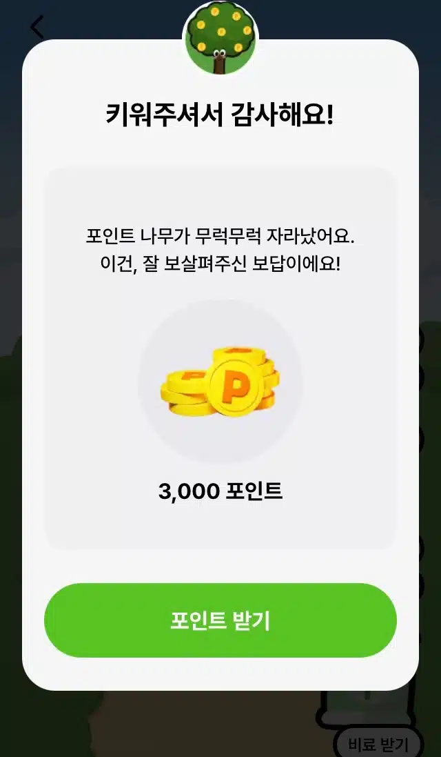 마니워크 나무 