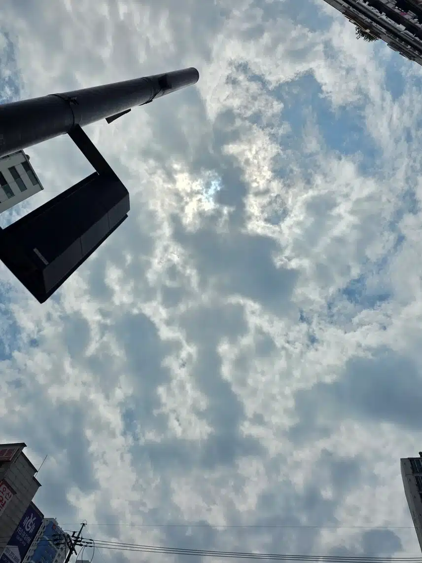 오후걷기 더워요🤣🤣