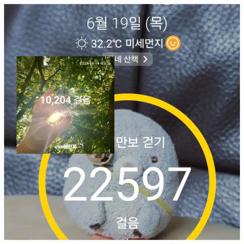햇님을 잡아볼까요~ 풀잎사이 만보걷기 완료 ~🥰