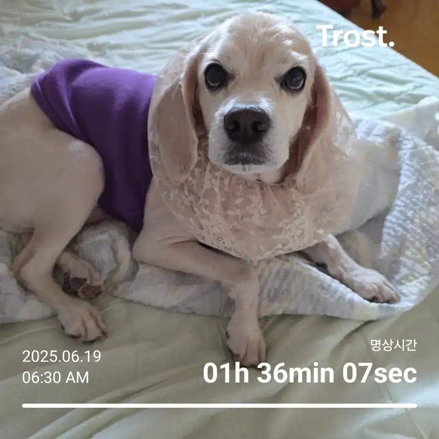 목요일 아침 