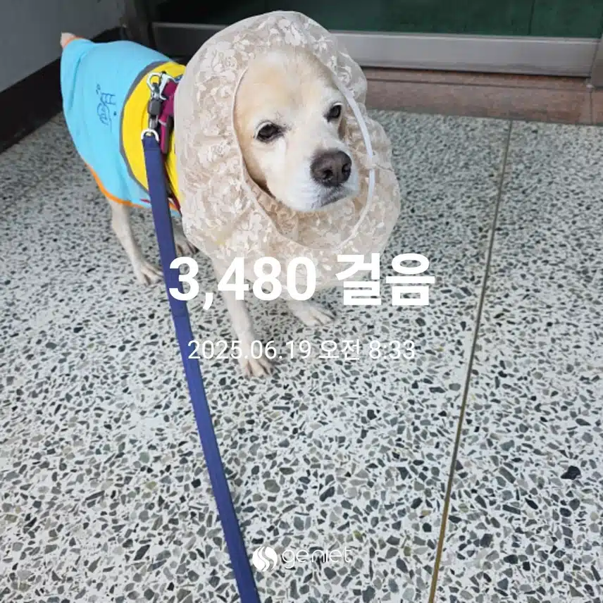 목요일 아침 
