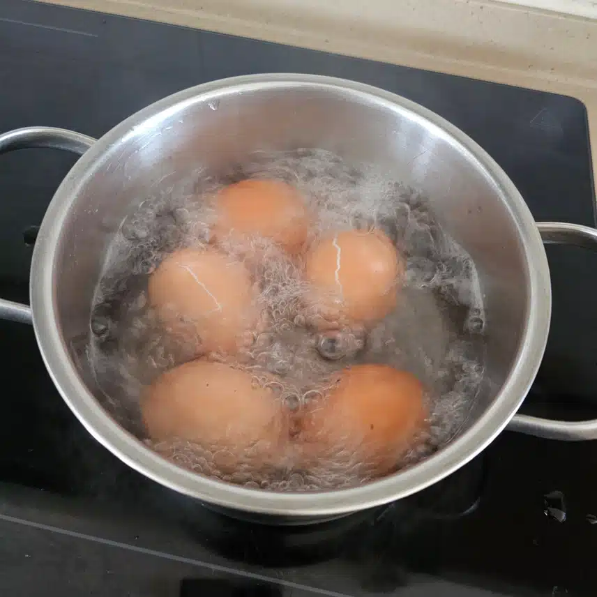 이제 점심으로 삶은 달걀