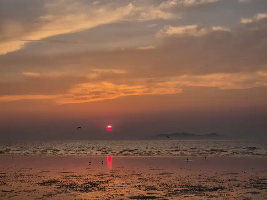 대부도 방아머리해변