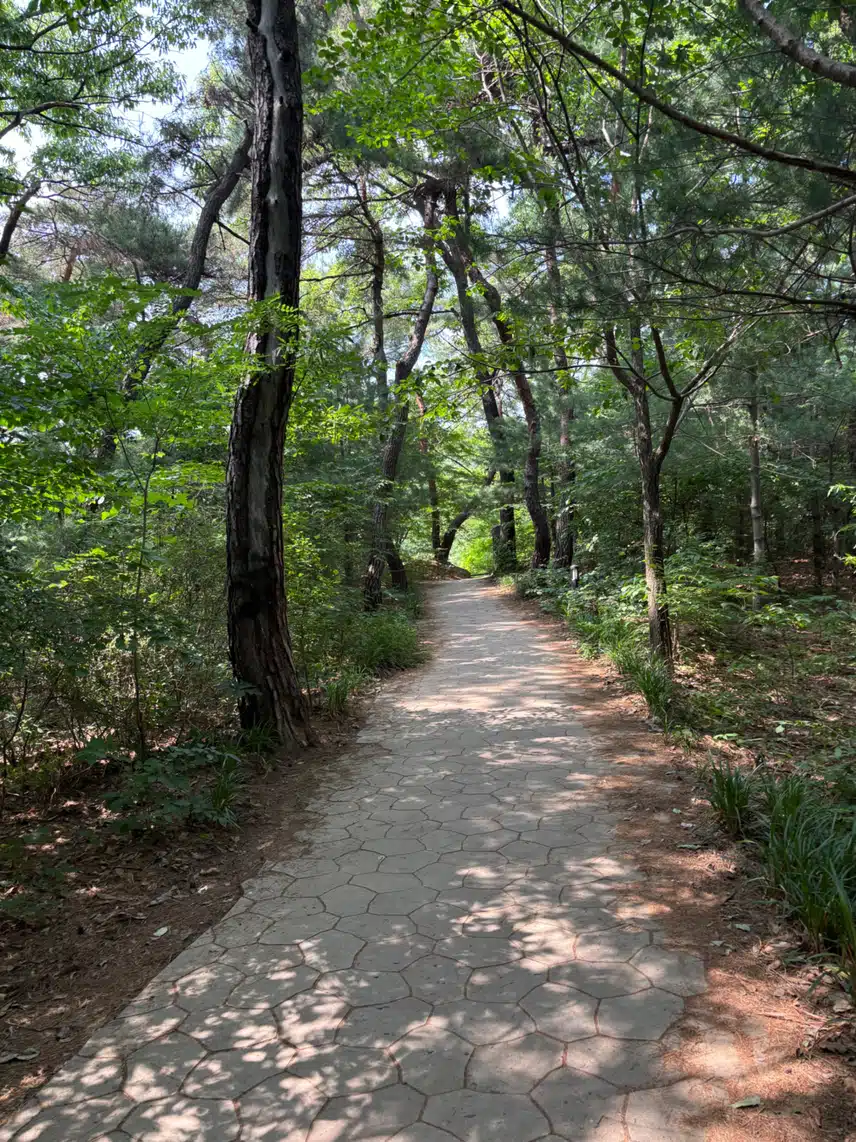 뒷산 산책🏞️
