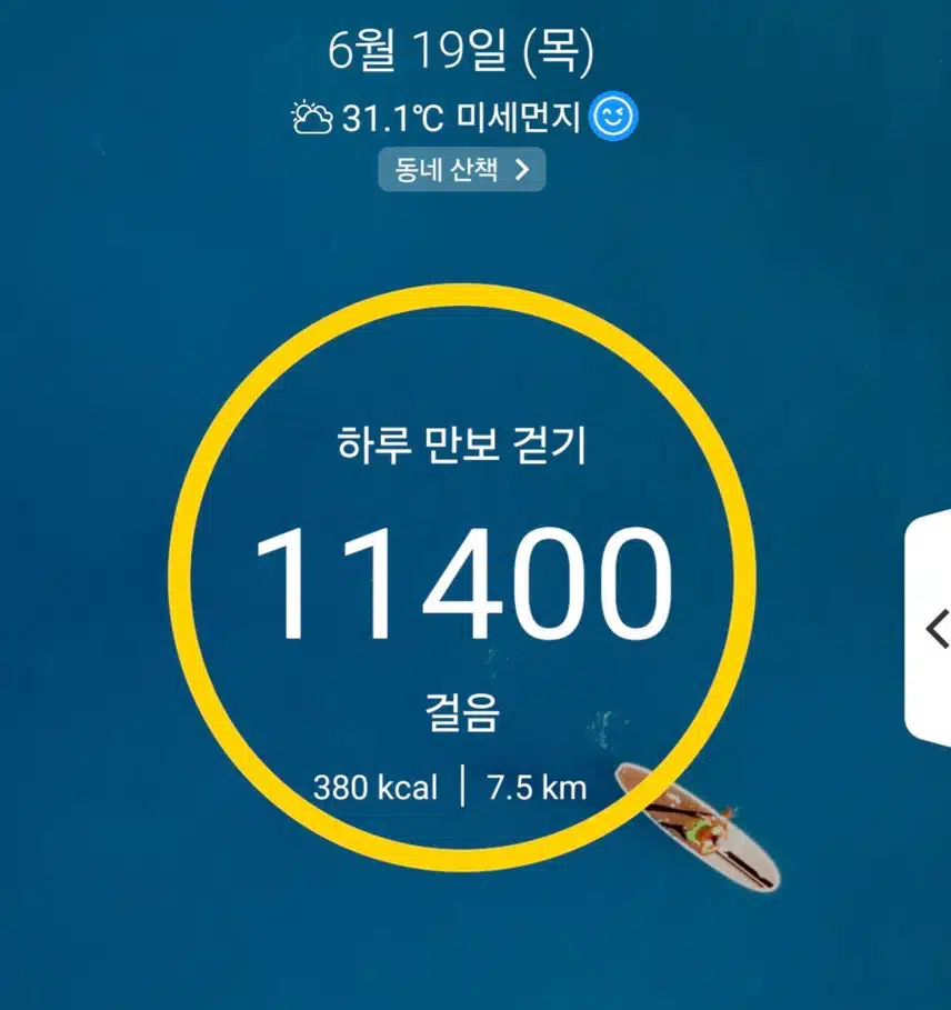1만보 달성