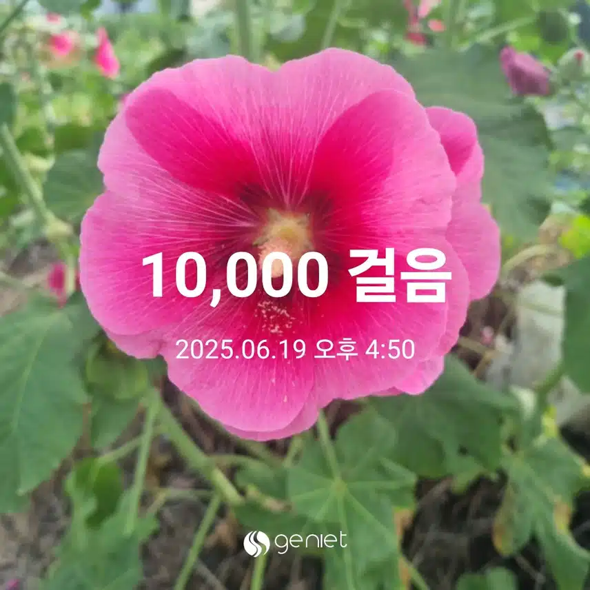 땀샤워 만보