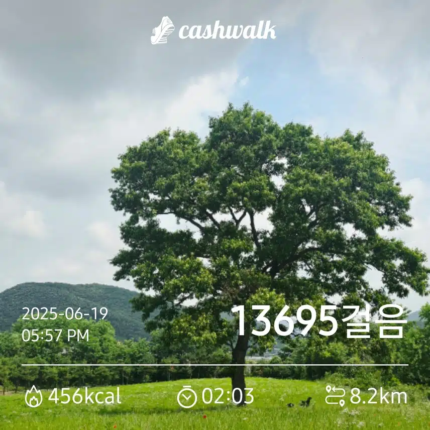 만보걷기 1.58일차 인증