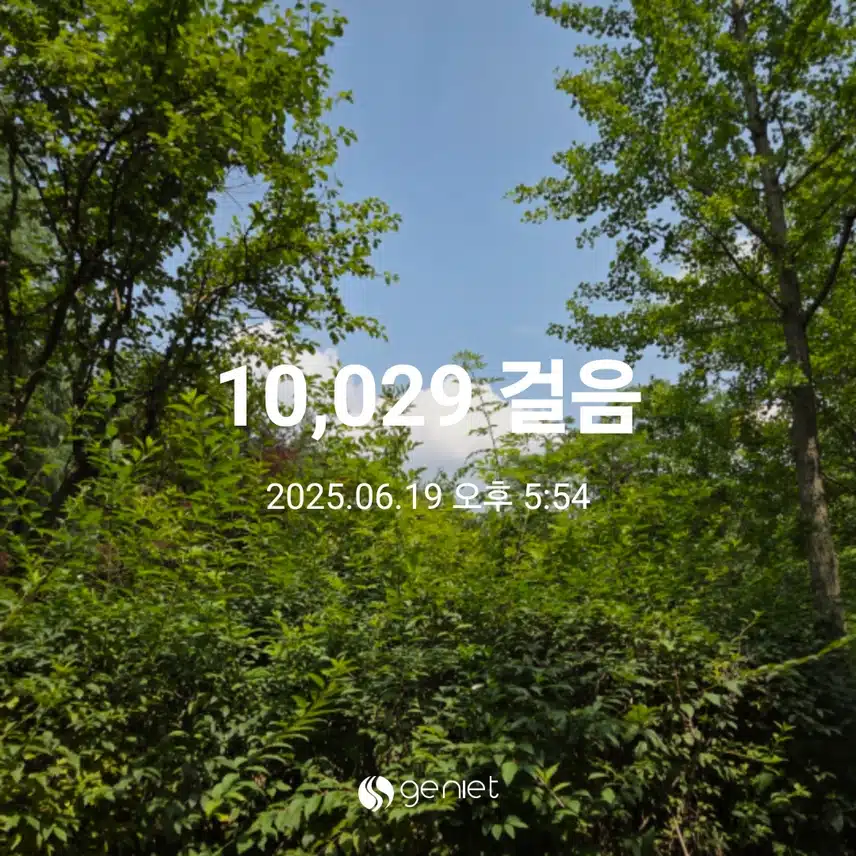 만보걷기운동 